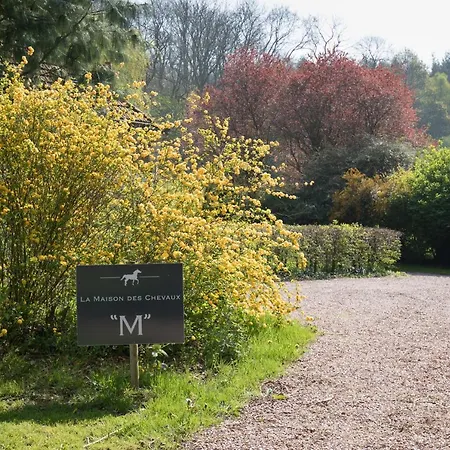 La Maison Des Chevaux * Eu (Senna Marittima)
